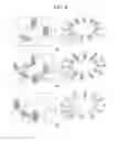 Fig. 09 - Microfluidic unit, microfluidic disk, microfluidic disk system, and method for biochemical assays