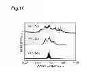 Fig. 12 - Quantum cascade laser manufacturing method
