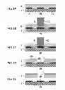 Fig. 02 - Deposition mask, producing method therefor and forming method for thin film pattern