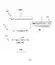 Fig. 09 - Method and apparatus for cell selection and handover in LTE-advanced heterogeneous networks