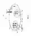 Fig. 04 - Operation of a heterogeneous wireless network by determining location of a wireless device