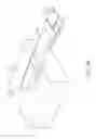 Fig. 06 - Co-molding display with body of mobile device