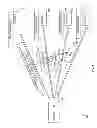 Fig. 07 - System and method for user creation of digital objects