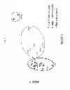 Fig. 06 - Methods and compositions for identification of source of microbial contamination in a sample