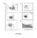 Fig. 03 - Treating schizophrenia based on a panel of biomarkers