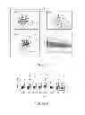 Fig. 04 - Treating schizophrenia based on a panel of biomarkers