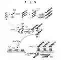 Fig. 06 - Method and apparatus for nucleic acid analysis