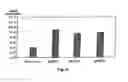 Fig. 09 - Alpha-Amylase Mutants