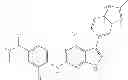 Fig. 45 - Substituted pyrrolopyrimidine compounds, compositions thereof, and methods of treatment therewith
