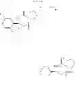Fig. 130 - 2-spiro-substituted iminothiazines and their mono-and dioxides as bace inhibitors, compositions and their use