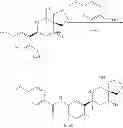 Fig. 165 - 2-spiro-substituted iminothiazines and their mono-and dioxides as bace inhibitors, compositions and their use