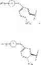 Fig. 20 - 2-spiro-substituted iminothiazines and their mono-and dioxides as bace inhibitors, compositions and their use