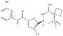 Fig. 204 - 2-spiro-substituted iminothiazines and their mono-and dioxides as bace inhibitors, compositions and their use