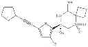 Fig. 231 - 2-spiro-substituted iminothiazines and their mono-and dioxides as bace inhibitors, compositions and their use
