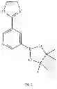 Fig. 295 - 2-spiro-substituted iminothiazines and their mono-and dioxides as bace inhibitors, compositions and their use
