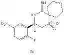 Fig. 304 - 2-spiro-substituted iminothiazines and their mono-and dioxides as bace inhibitors, compositions and their use