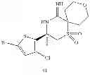 Fig. 309 - 2-spiro-substituted iminothiazines and their mono-and dioxides as bace inhibitors, compositions and their use