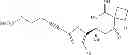 Fig. 439 - 2-spiro-substituted iminothiazines and their mono-and dioxides as bace inhibitors, compositions and their use