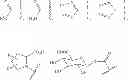 Fig. 317 - LYSOPHOSPHATIDIC ACID RECEPTOR ANTAGONISTS