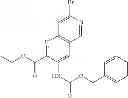 Fig. 107 - Bicyclic aromatic carboxamide compounds useful as Pim kinase inhibitors
