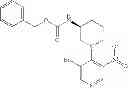 Fig. 120 - Bicyclic aromatic carboxamide compounds useful as Pim kinase inhibitors