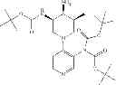 Fig. 206 - Bicyclic aromatic carboxamide compounds useful as Pim kinase inhibitors