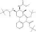 Fig. 207 - Bicyclic aromatic carboxamide compounds useful as Pim kinase inhibitors