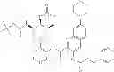 Fig. 212 - Bicyclic aromatic carboxamide compounds useful as Pim kinase inhibitors