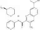 Fig. 47 - Bicyclic aromatic carboxamide compounds useful as Pim kinase inhibitors