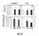 Fig. 07 - Methods of Use of Inhibitors of Phosphodiesterases and Modulators of Nitric Oxide, Reactive Oxygen Species, and Metalloproteinases in the Treatment of Peyronie's Disease, Arteriosclerosis and Other Fibrotic Diseases