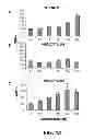 Fig. 15 - Methods of Use of Inhibitors of Phosphodiesterases and Modulators of Nitric Oxide, Reactive Oxygen Species, and Metalloproteinases in the Treatment of Peyronie's Disease, Arteriosclerosis and Other Fibrotic Diseases
