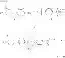 Fig. 04 - BENZENESULFONAMIDE COMPOUNDS SUITABLE FOR TREATING DISORDERS THAT RESPOND TO MODULATION OF THE DOPAMINE D3 RECEPTOR
