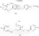 Fig. 07 - PROTEASE INHIBITORS