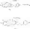 Fig. 08 - PROTEASE INHIBITORS