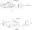Fig. 09 - PROTEASE INHIBITORS