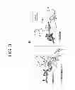 Fig. 04 - Methods for inhibiting redox-sensitive GTPases