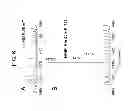 Fig. 07 - Methods for inhibiting redox-sensitive GTPases