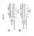 Fig. 09 - Methods for inhibiting redox-sensitive GTPases