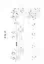 Fig. 11 - Methods for inhibiting redox-sensitive GTPases