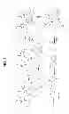 Fig. 19 - Methods for inhibiting redox-sensitive GTPases