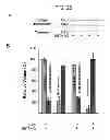 Fig. 27 - Methods for inhibiting redox-sensitive GTPases