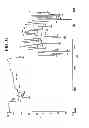Fig. 07 - Compositions and processes for preparing 5-amino or substituted amino 1,2,3-triazoles and triazoles orotate formulations