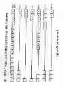 Fig. 10 - Methods for determining and inhibiting rheumatoid arthritis associated with the BRAF oncogene in a subject