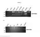 Fig. 04 - SIGNAL-SENSOR POLYNUCLEOTIDES FOR THE ALTERATION OF CELLULAR PHENOTYPES