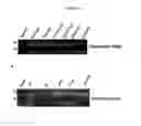 Fig. 07 - SIGNAL-SENSOR POLYNUCLEOTIDES FOR THE ALTERATION OF CELLULAR PHENOTYPES