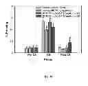 Fig. 15 - ANTITUSSIVE COMPOSITIONS COMPRISING MEMANTINE