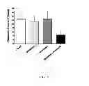 Fig. 16 - ANTITUSSIVE COMPOSITIONS COMPRISING MEMANTINE