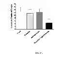 Fig. 17 - ANTITUSSIVE COMPOSITIONS COMPRISING MEMANTINE