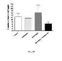 Fig. 19 - ANTITUSSIVE COMPOSITIONS COMPRISING MEMANTINE