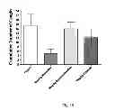 Fig. 20 - ANTITUSSIVE COMPOSITIONS COMPRISING MEMANTINE